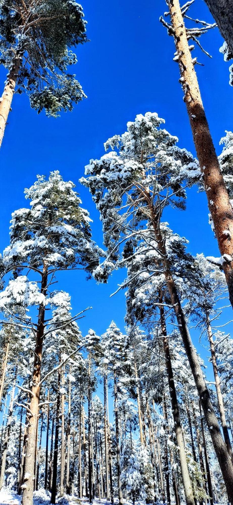 Las Colmenillas 1 Трагасете Экстерьер фото