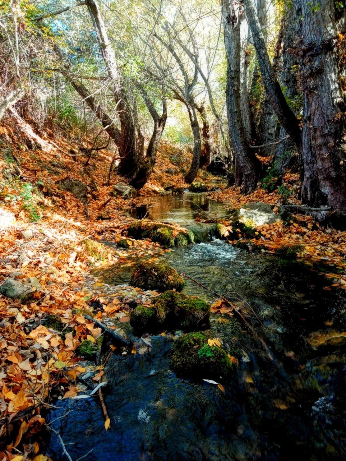 Las Colmenillas 1 Трагасете Экстерьер фото